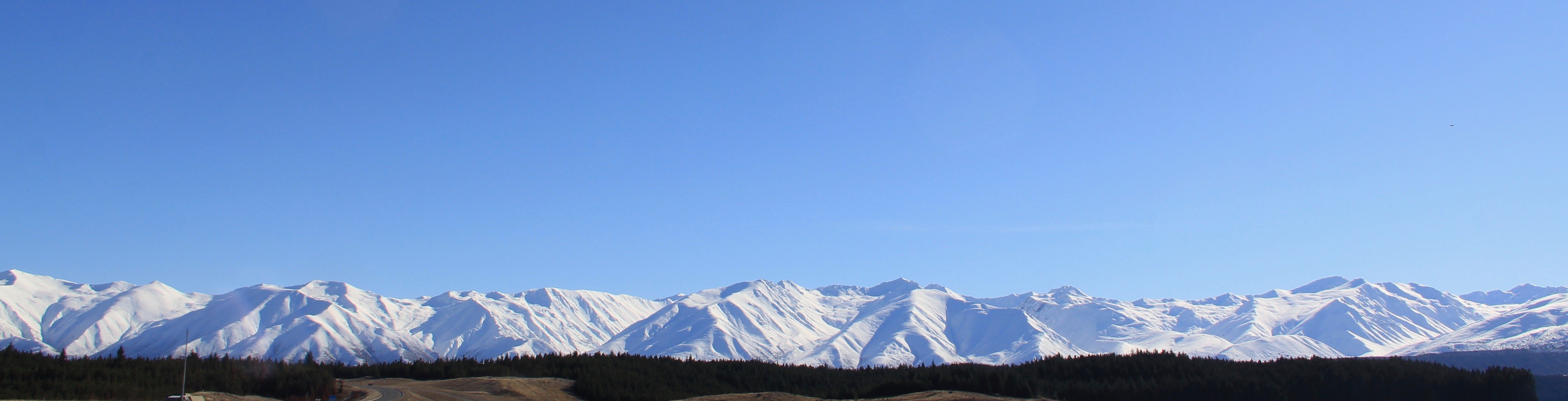 Weekly Update – 21 February 2019