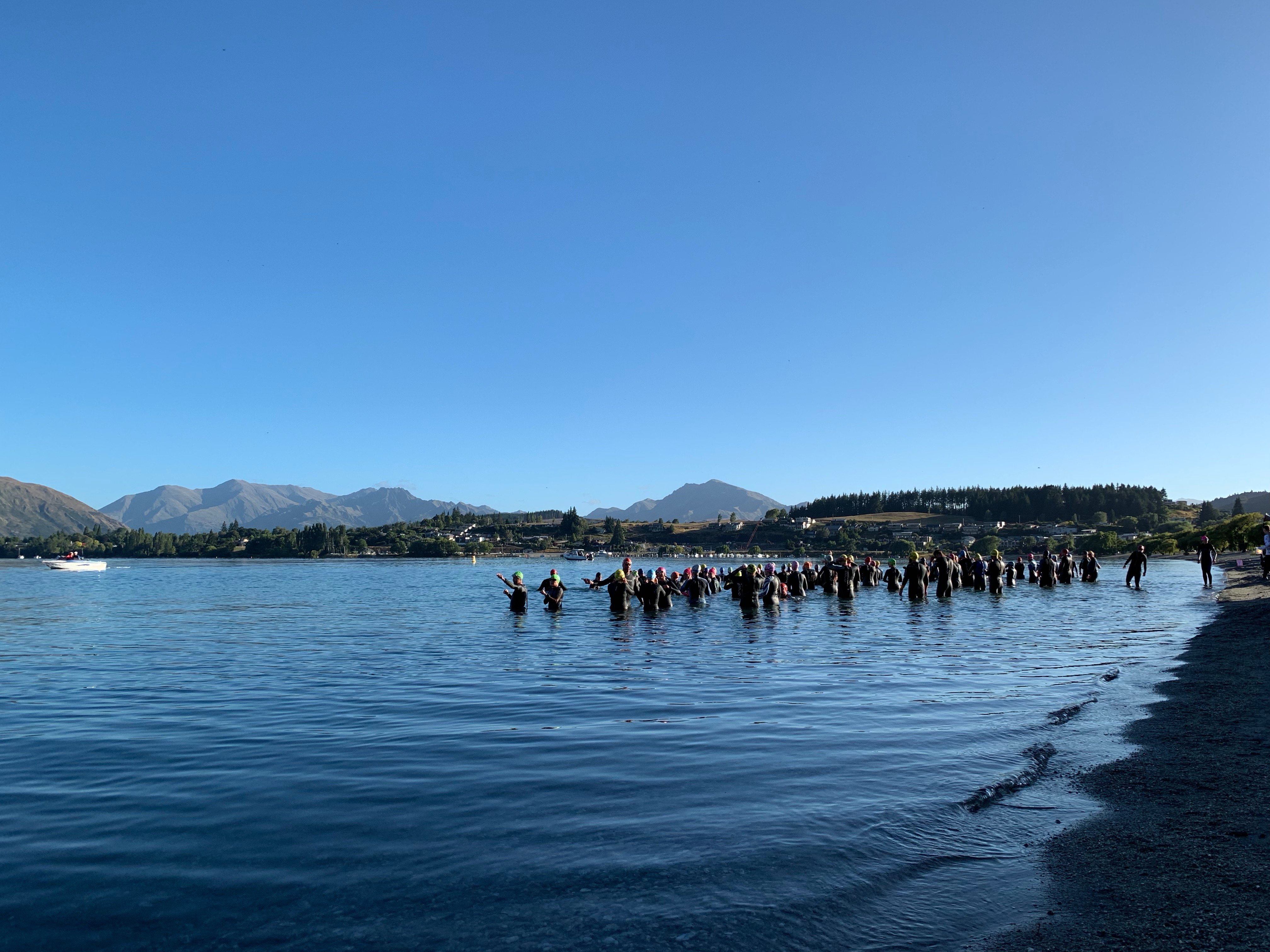 Weekly Update – 31 January 2018